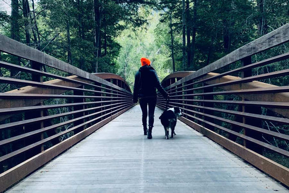 Tips for becoming an eco-friendly dog owner